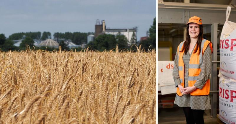 Malt firm takes 'bold step forward' for sustainable barley growing Malt firm takes 'bold step forward' for sustainable barley growing
