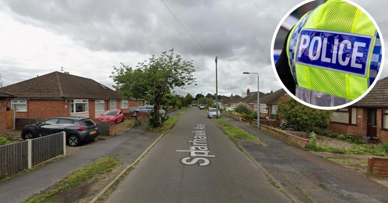 CSI investigate break-in on city outskirts CSI investigate break-in on city outskirts