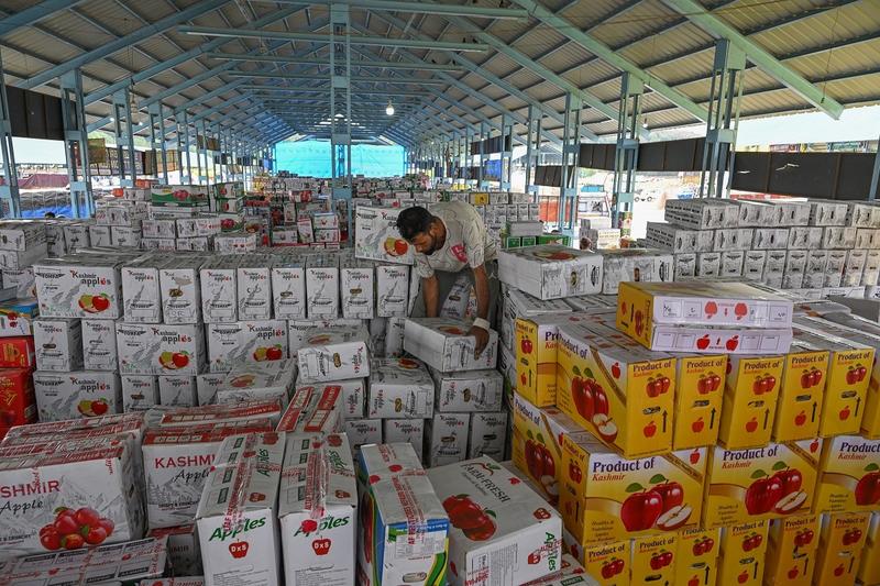 The Brokers of Betrayal: How Kashmir’s Apple Farmers Lose Twice The Brokers of Betrayal: How Kashmir’s Apple Farmers Lose Twice
