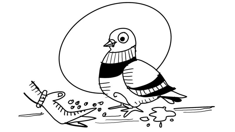 Pigeon spirituality Pigeon spirituality