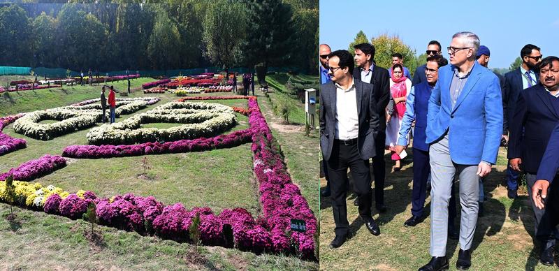 Valley gets its first Chrysanthemum Garden
