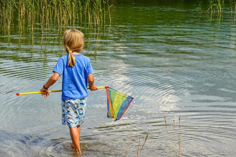 Ivica Šola: Zdravstveni odgoj koji gura Možemo! nakupina je najgoreg ljevičarenja. Evo kratke povijesti te bolesti