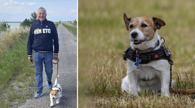 La storia del sindaco Mario Mantovan, eletto (anche) grazie ai voti del suo cane Thor: il Tar li conferma