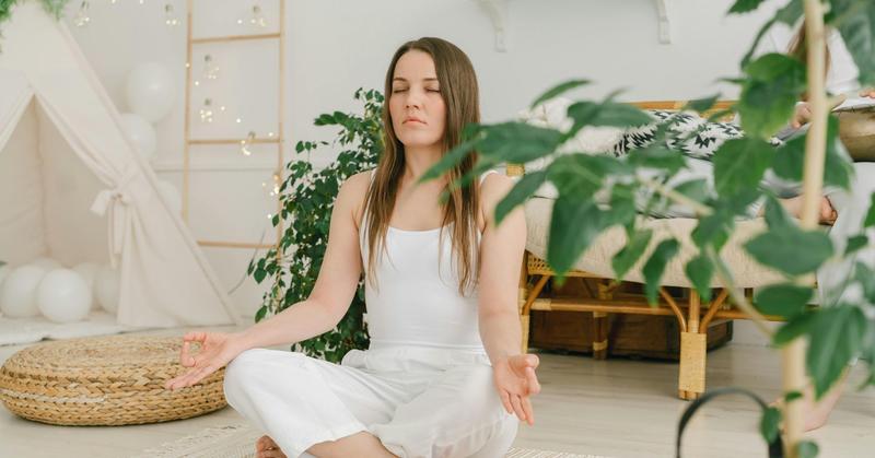 The Many Lenses of Consciousness