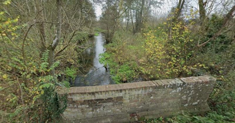 New project sees trees felled into Norfolk river