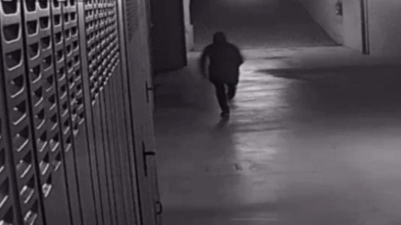 Ora solare, più furti prima di cena: «Solidarietà tra vicini: segnalate»