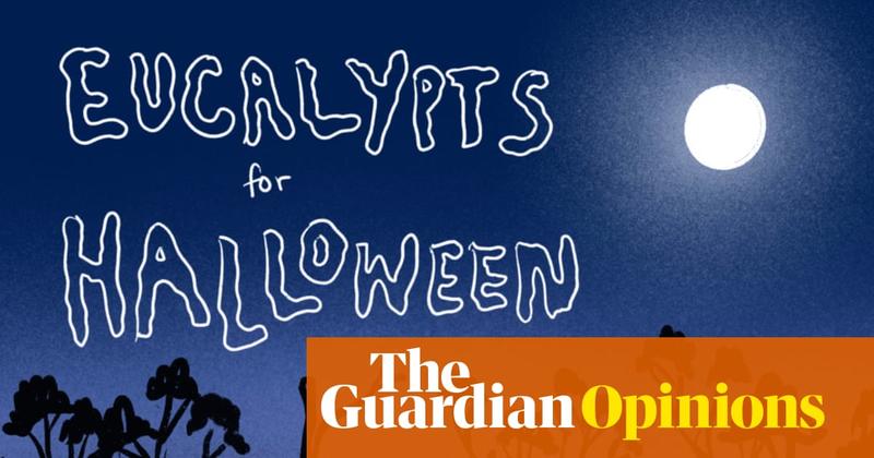 Spooky eucy! Let’s celebrate the haunting beauty of Australia’s gum trees this Halloween Spooky eucy! Let’s celebrate the haunting beauty of Australia’s gum trees this Halloween