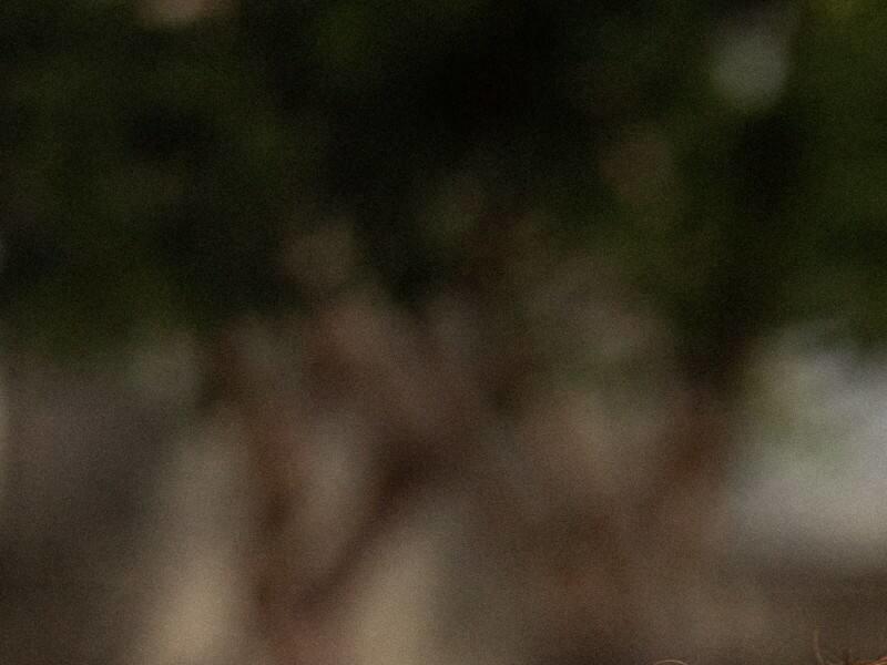 Les tout-petits au cœur de nos milieux de vie