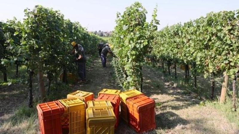 Agroalimentare, a un passo dalle elezioni regionali sarebbe auspicabile conoscere gli impegni per il settore