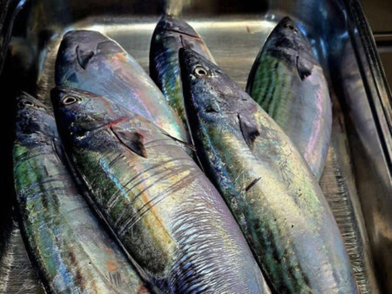 Паламудът е тук, но докога?