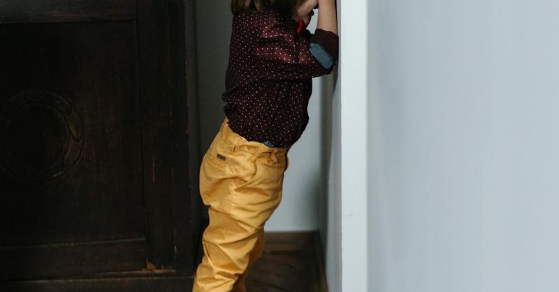 A Psychologist's Perspective on the Show 