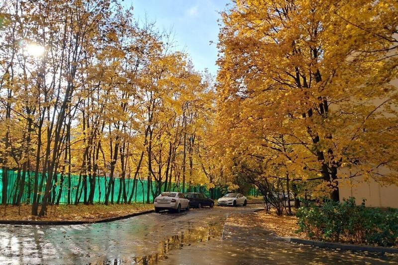 Российские родители рассказали, как развлекут школьников во время осенних каникул