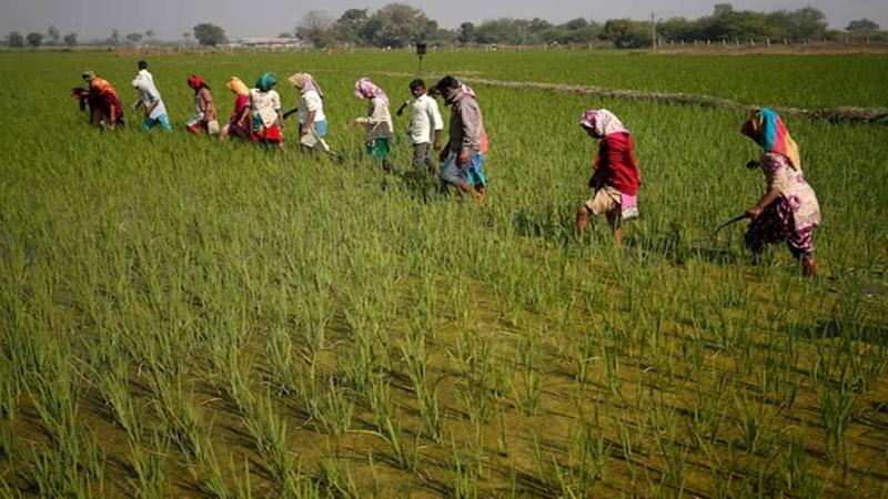 A regenerative agri-mission A regenerative agri-mission