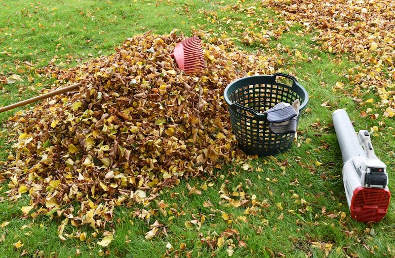 Die entscheidende Frage im Herbst: Das Laub liegen lassen oder nicht? Die entscheidende Frage im Herbst: Das Laub liegen lassen oder nicht?