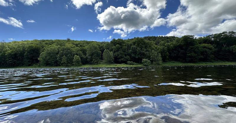 Hope and Resilience in the Face of Eco-Grief