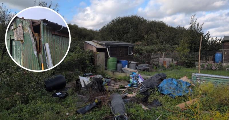 Thieves wreck several allotments in 'heart-breaking' overnight raid Thieves wreck several allotments in 'heart-breaking' overnight raid