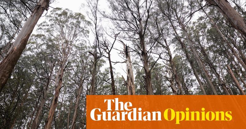 Biodiversity is in catastrophic decline. Here are three ways to ensure Australia’s conservation law actually works
