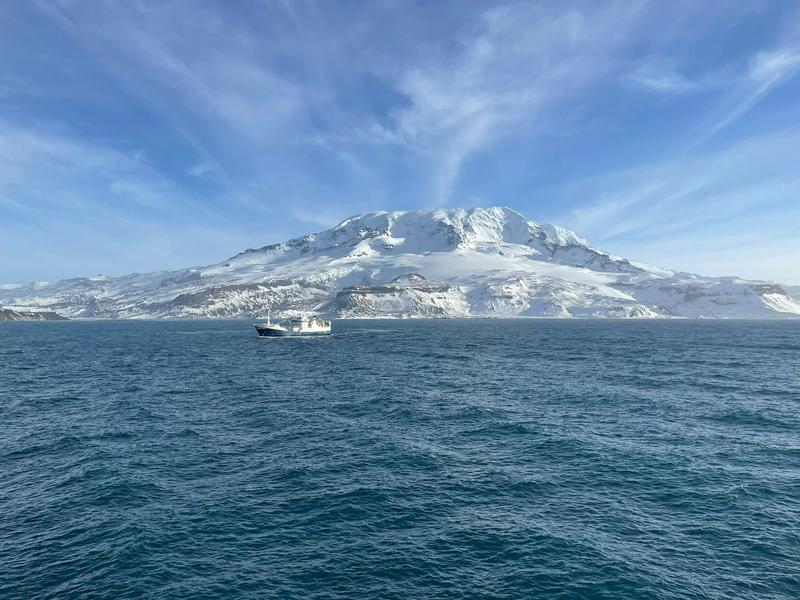 Fish species off icy Heard Island bounced back when illegal fishing stopped and sustainable fishing continued