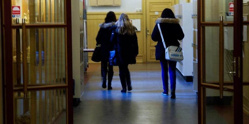 Liberalerna behövs för att elda på de andra i skolfrågan Liberalerna behövs för att elda på de andra i skolfrågan
