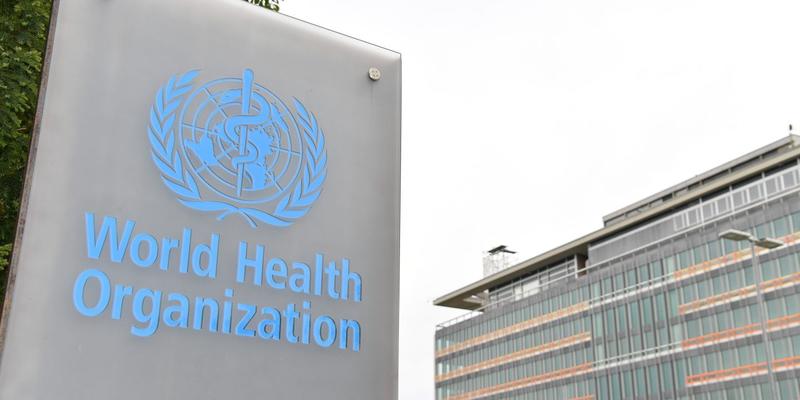 WHO wollte Israel mit „Hungersnot“-Begriff gezielt unter Druck setzen WHO wollte Israel mit „Hungersnot“-Begriff gezielt unter Druck setzen