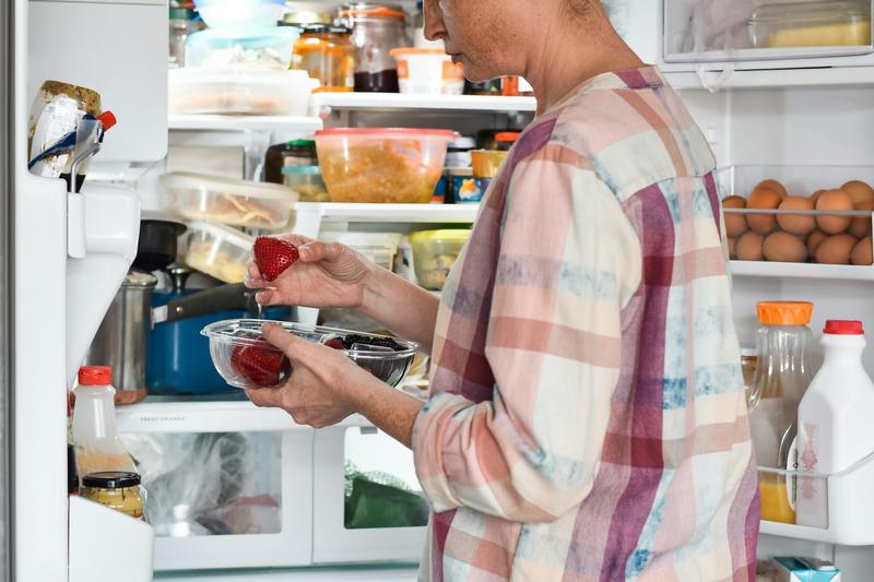 Why you can salvage moldy cheese but never spoiled meat − a toxicologist advises on what to watch out for Why you can salvage moldy cheese but never spoiled meat − a toxicologist advises on what to watch out for