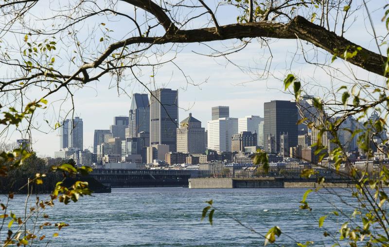 Climate change is making cities hotter. Here’s how planting trees can help