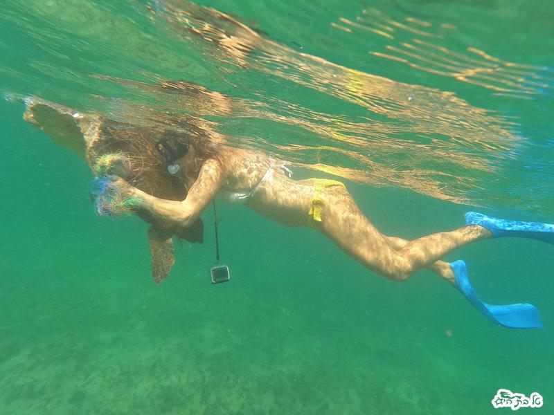 Drone fishing ‘a death trap’ for humans and marine wildlife, sea enthusiast warns