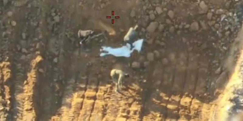 Hamas inszenierte Geisel-Fund und will neuen Leichnam übergeben