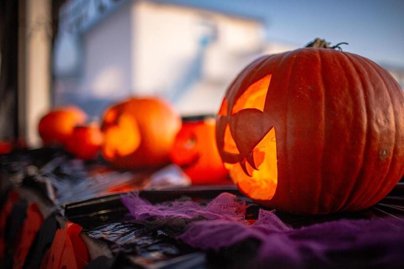 Halloween a Livorno, 15 appuntamenti (da non perdere) tra spettacoli, notti spettrali ed eventi per tutte le età