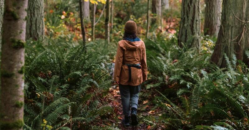 Jane Goodall and Our Understanding of Laughter’s Origins