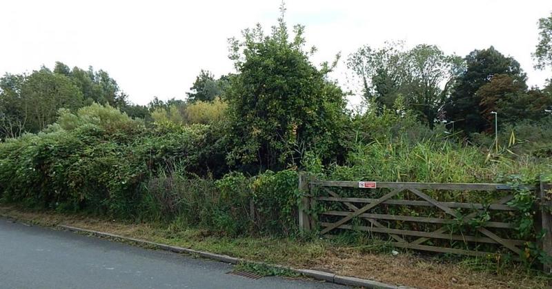 Substantial area of land sells for well above estimate at auction