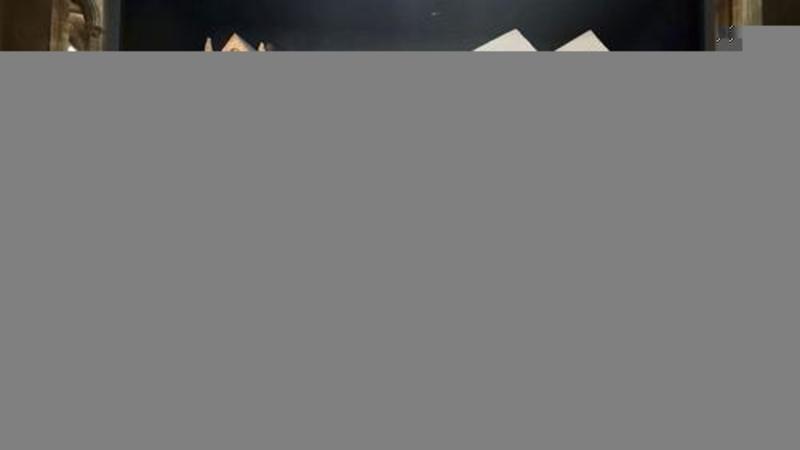 Будет ли «Адвокатская палата города Москвы» отстаивать своё решение или самоустранится, позволив аферистке вернуть адвокатский статус?