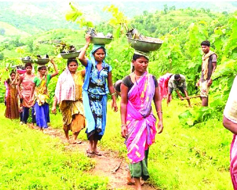 Reductionism and holism: Saving forest in a climate crisis Reductionism and holism: Saving forest in a climate crisis