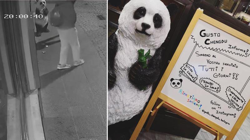 Bologna, rubano il panda al ristorante cinese: “200 euro a chi ci riporta la nostra mascotte” /