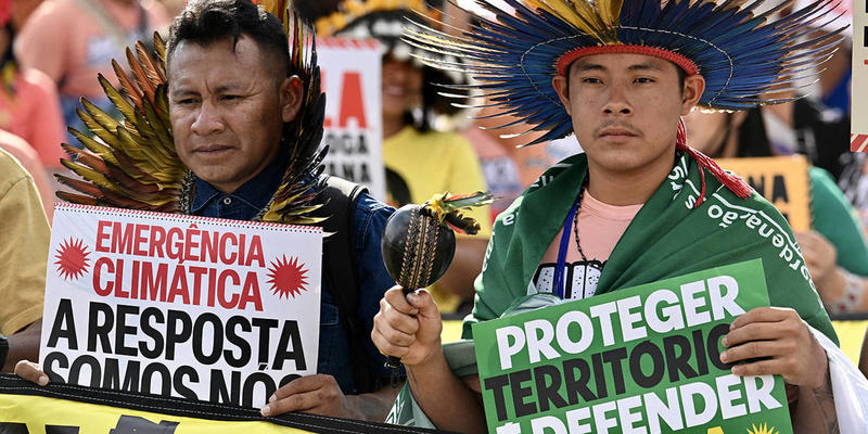 The Global Polytunity