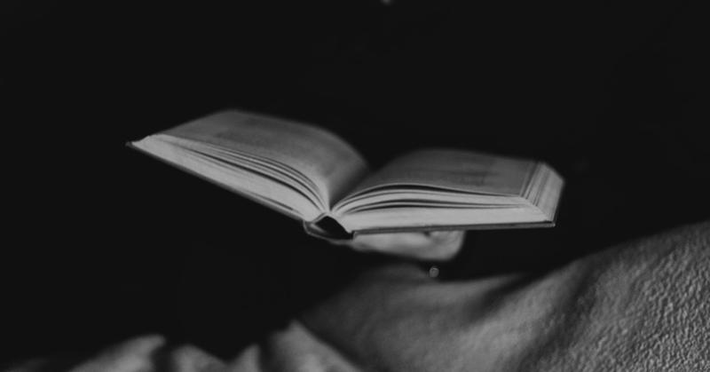 The New Scholar: What's Next for Professors in the Age of AI?