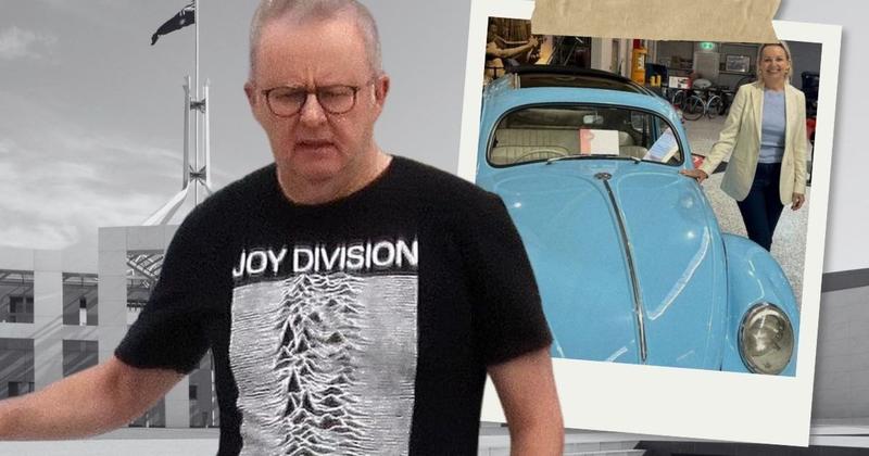 No Joy, only Division: Just the stupidest stupid of all