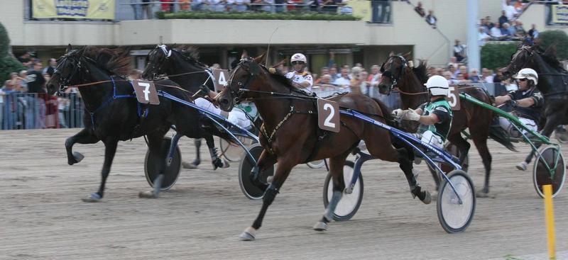 L’Ippodromo cambia volto. Nuovi spazi e tante attività. Ma sui cavalli è rebus