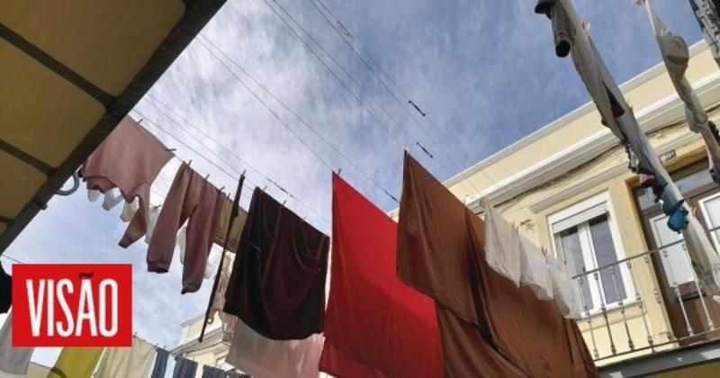 Vamos morar juntos? Opinião de Alexandra Correia