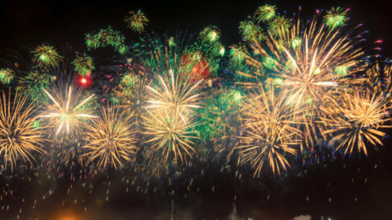 Dog behaviourist: Tips to help your dogs cope with the fireworks and frenzy of Halloween