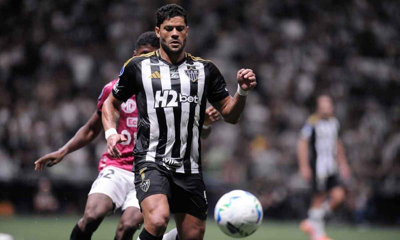 O GALO SERÁ O CAMPEÃO DA COPA SUL-AMERICANA O GALO SERÁ O CAMPEÃO DA COPA SUL-AMERICANA
