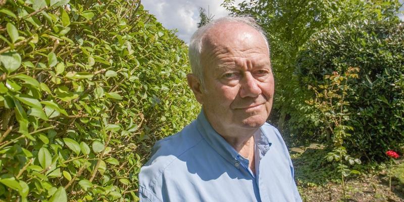 Gestalter mit Weitblick