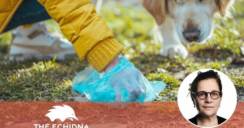 I have had enough of this all-too-common dog act