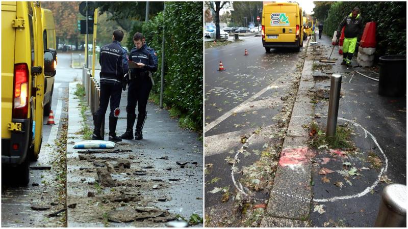 Chi ha investito l’anziano con il cane in viale Caterina da Forlì? Accertamenti sull’identità del conducente del suv