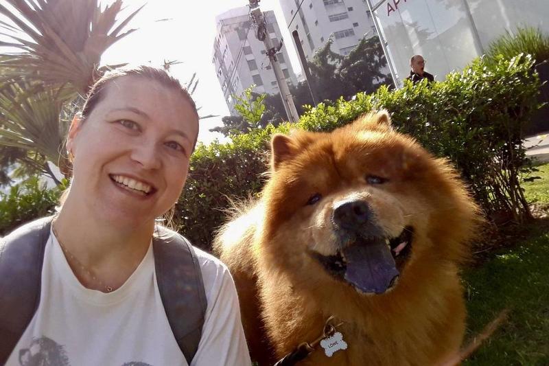 Cresce a procura por passeadores de cães em São Paulo