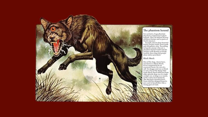 Scary stories for kids: All About Ghosts is a non-fiction book that gave me all the knowledge to spot spectres