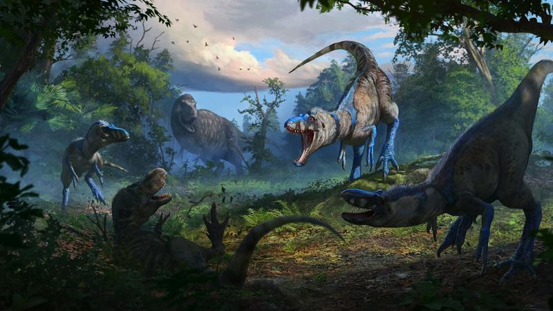 New ‘miniature T rex’ rewrites the history of the world’s largest predator