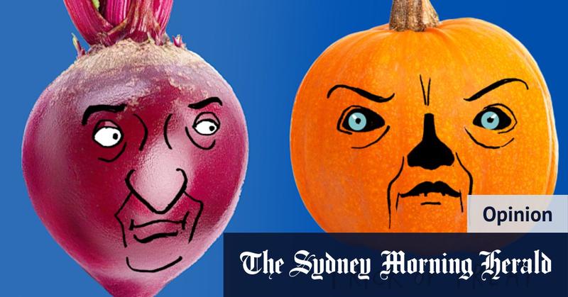 What Barnaby Joyce really wants from One Nation What Barnaby Joyce really wants from One Nation