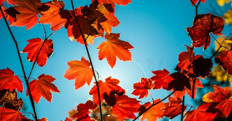 Grief and the Change of Seasons