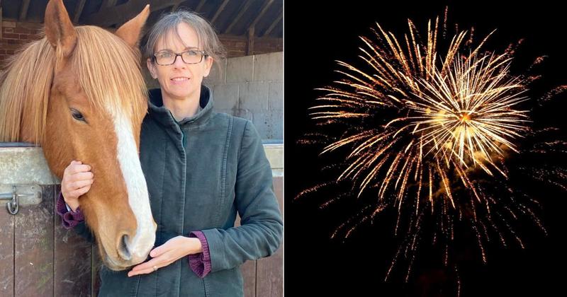 Tens of thousands of people back city woman's fireworks change bid Tens of thousands of people back city woman's fireworks change bid